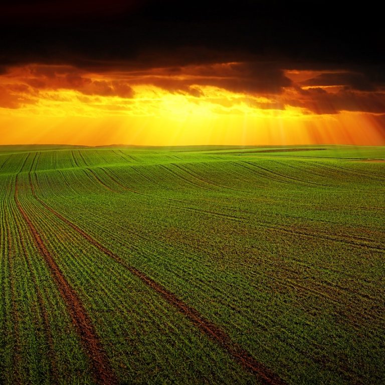 field-3092043_1280