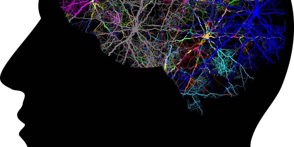 cranium-3244118_1280