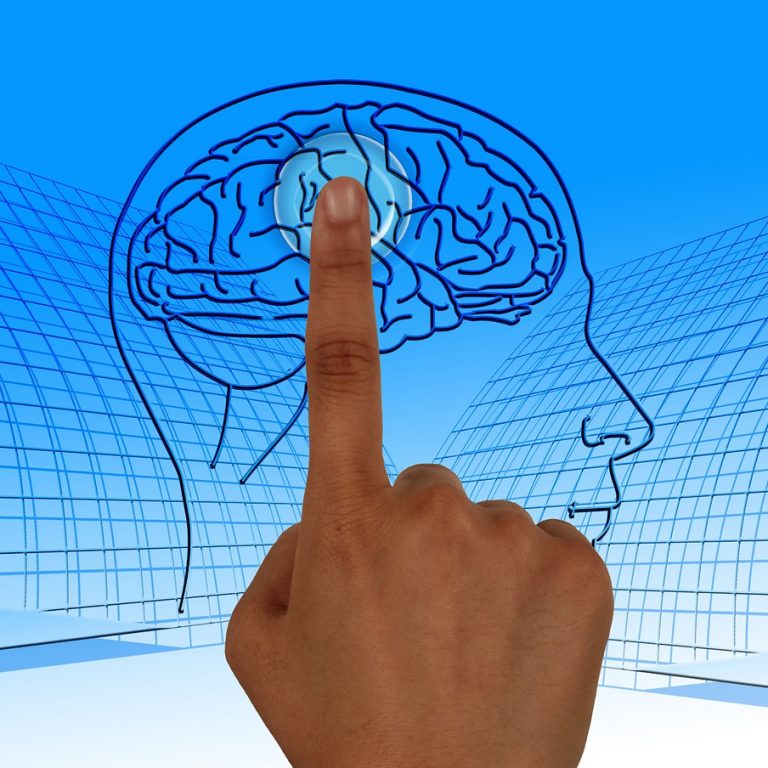 brain-770044_1280