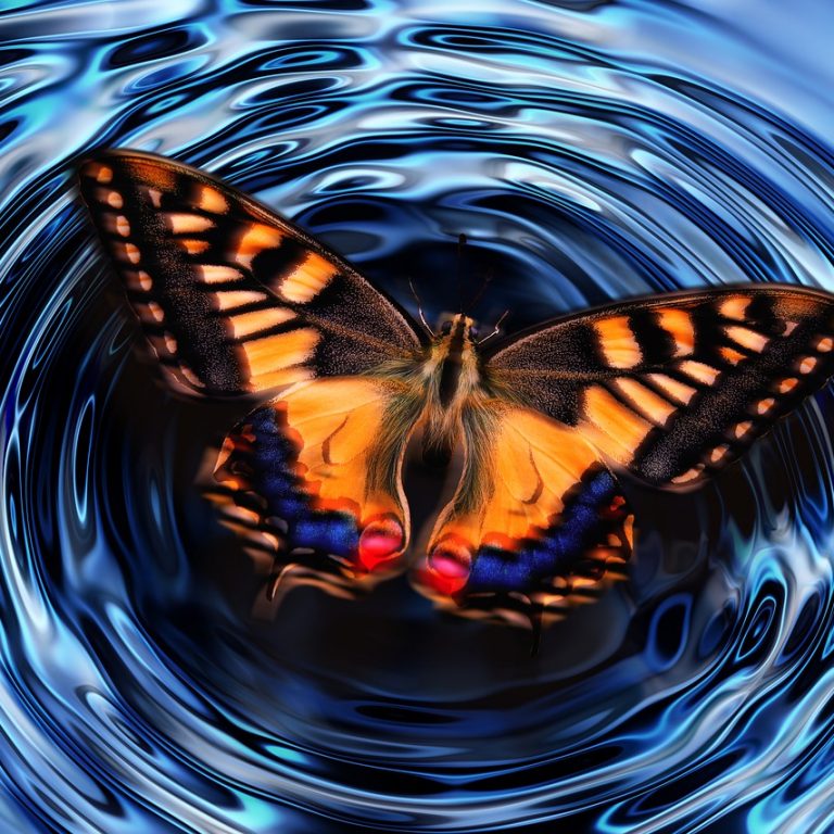 butterfly-4847628_1280