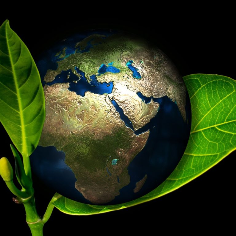earth-405096_1280 (1)
