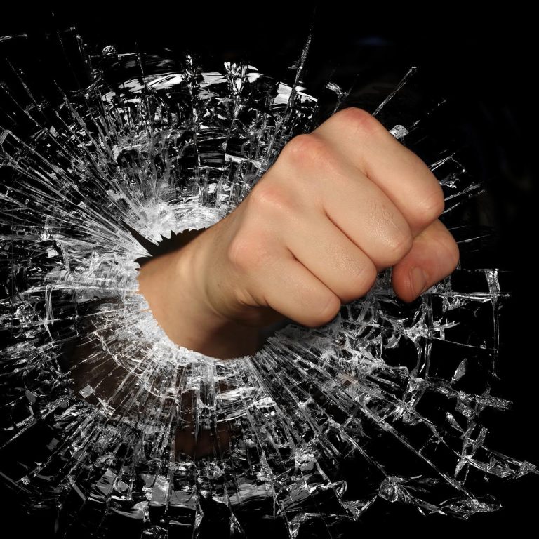 fist-g41292ac56_1920