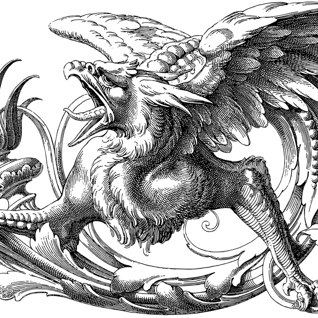 gryphon-gaef363355_1280
