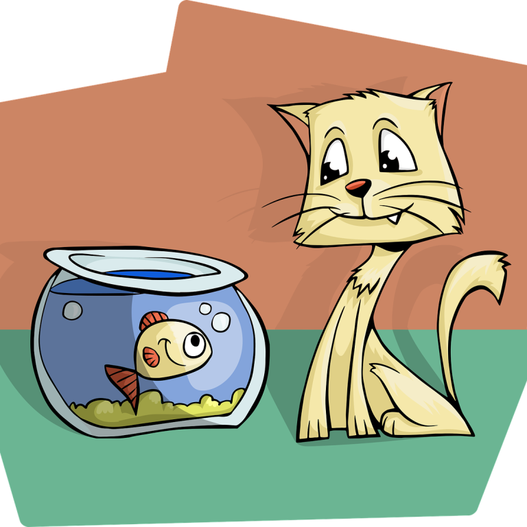 cat-1456344_1280