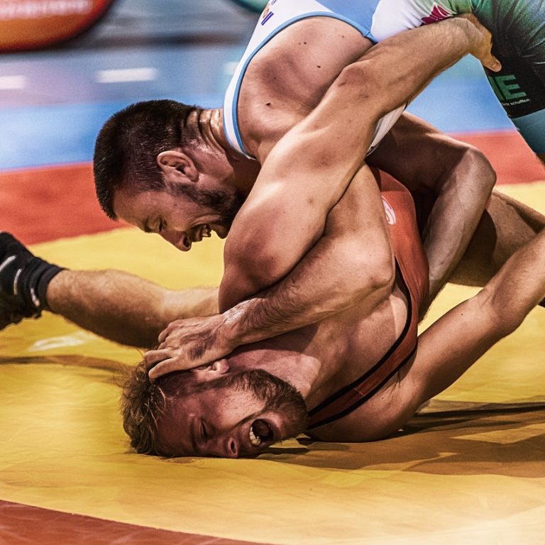 wrestle-gae89321c6_1280